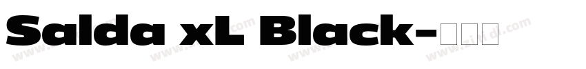Salda xL Black字体转换 Salda xL Black字体转换